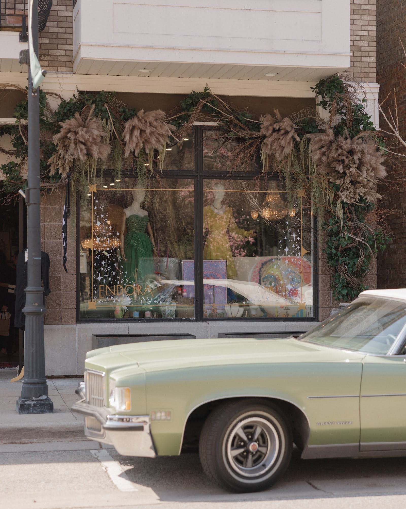 Endora — photo