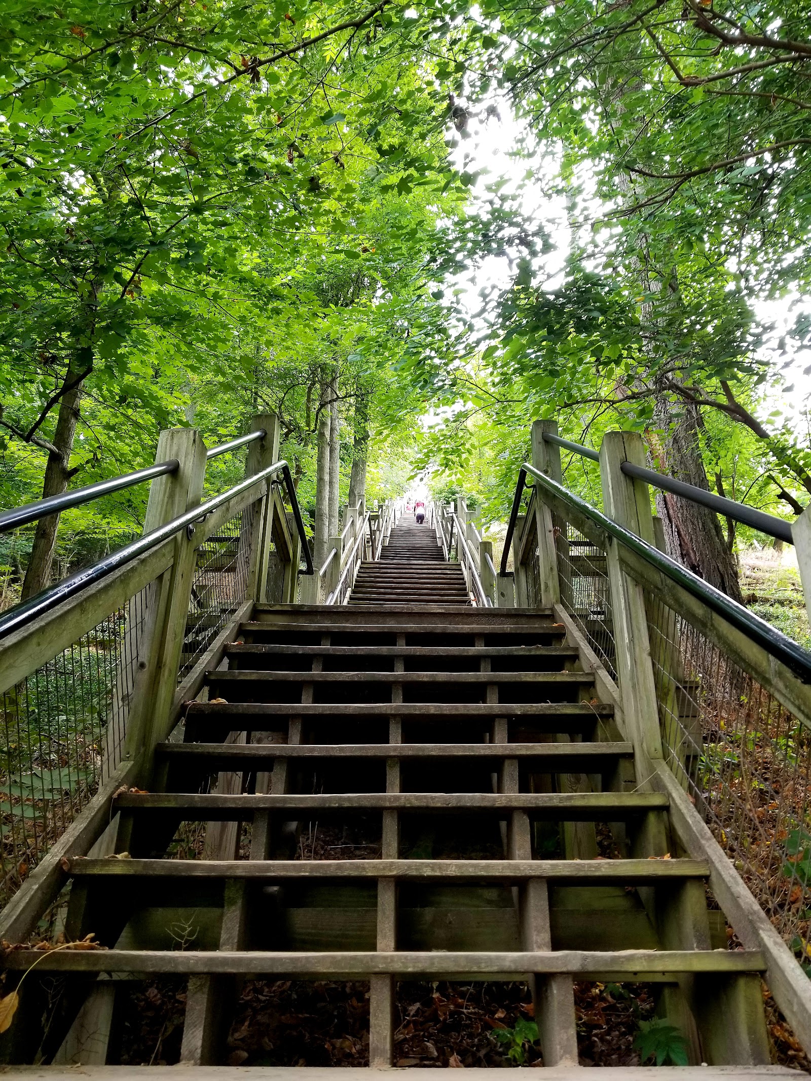 Mount Baldhead Park in Saugatuck