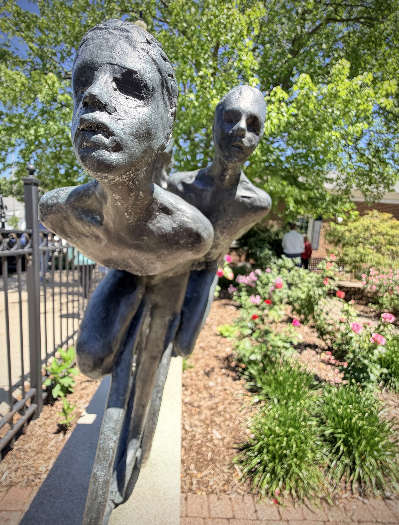 Rose Garden in Saugatuck
