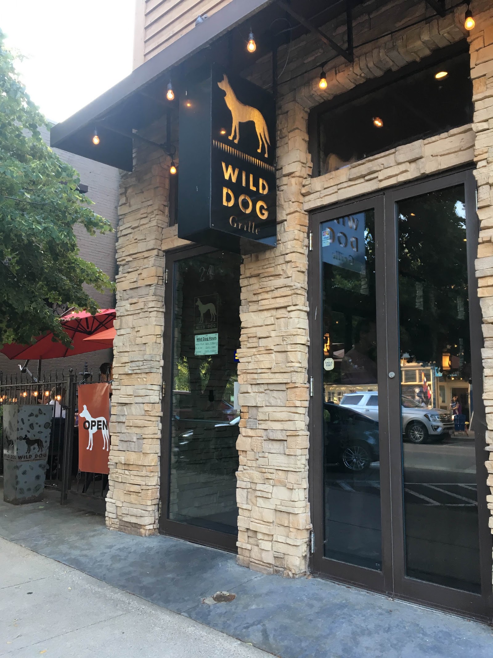 The Wild Dog — photo